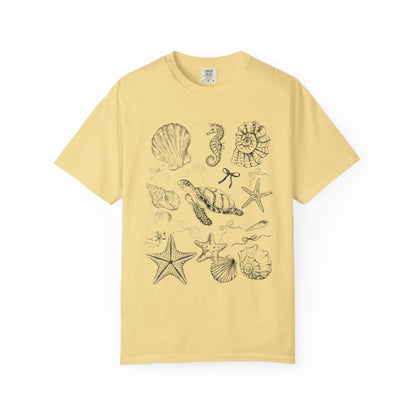 Beach Seashell Graphic T-shirt, Unisex Summer Tee, Ocean Vibes Shirt, Seashell Lover Gift, Casual Beachwear, Sea Life T-Shirt