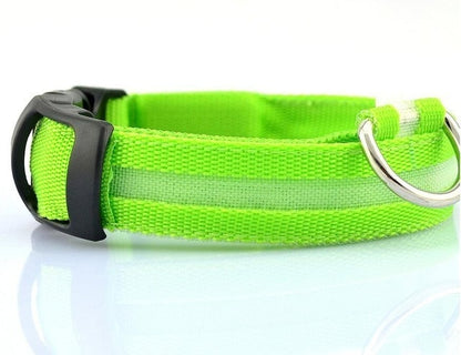 LED Night Safety Pet/Dog Collar