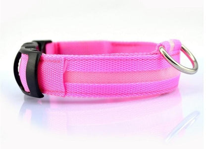 LED Night Safety Pet/Dog Collar
